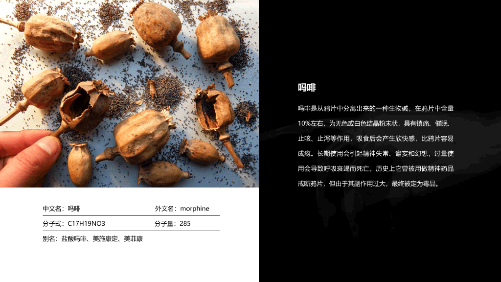拒绝毒品禁毒教育课件PPT模板