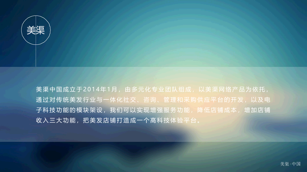 美发行业信息平台推广PPT