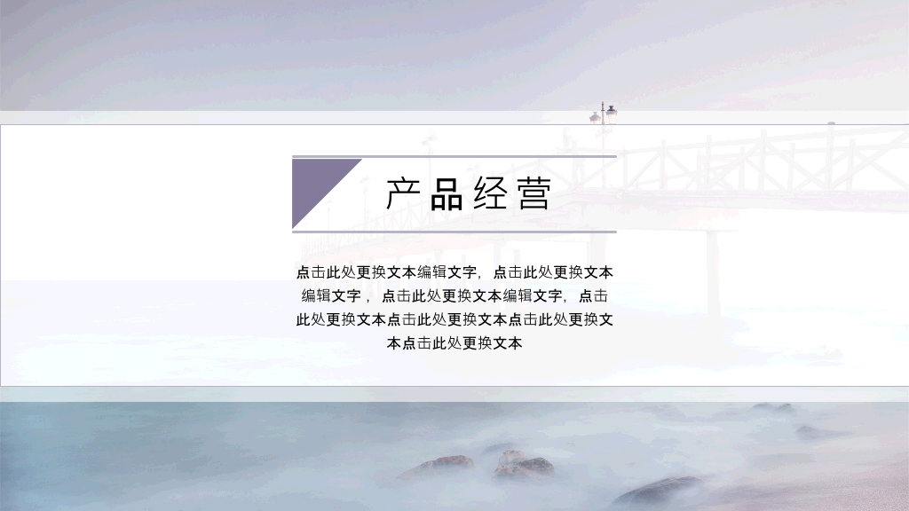 淡雅简约工作报告PPT模板