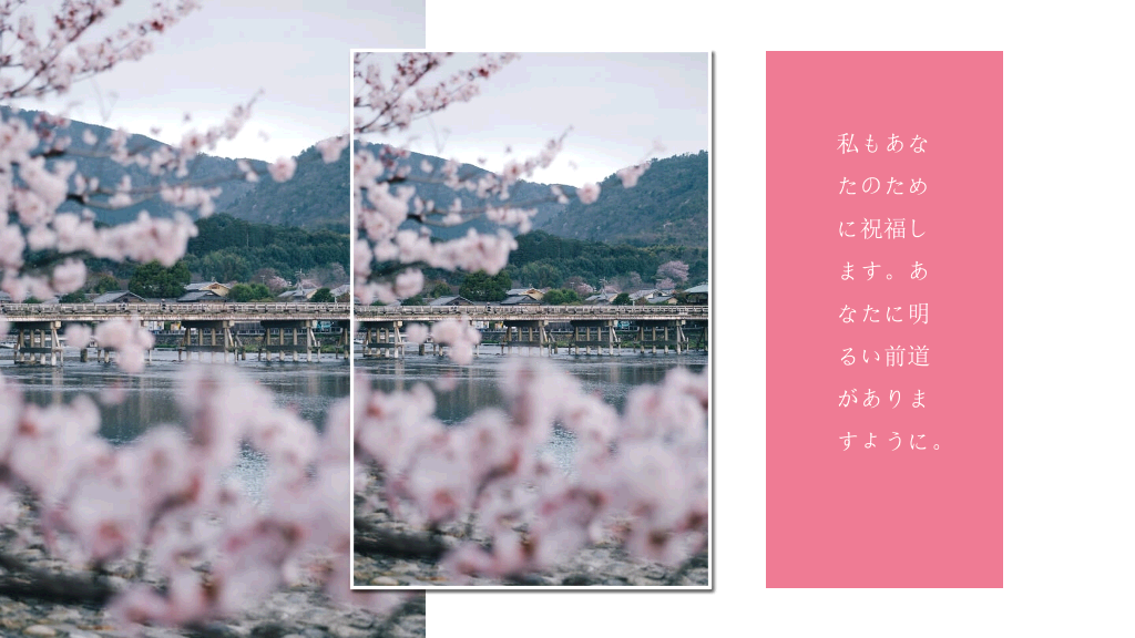 粉色樱花日本和风PPT模板