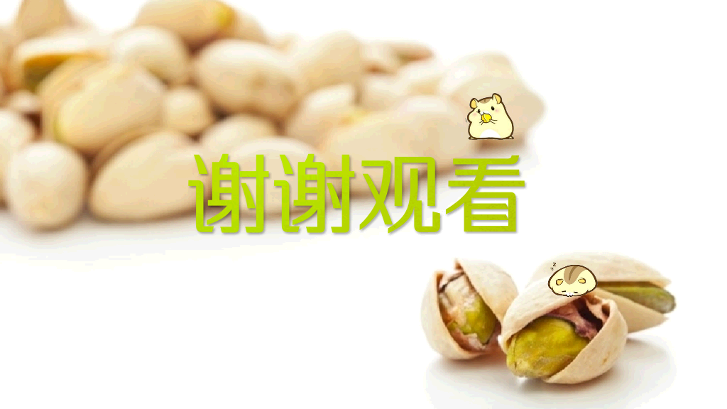 坚果零食小食品展示PPT模板