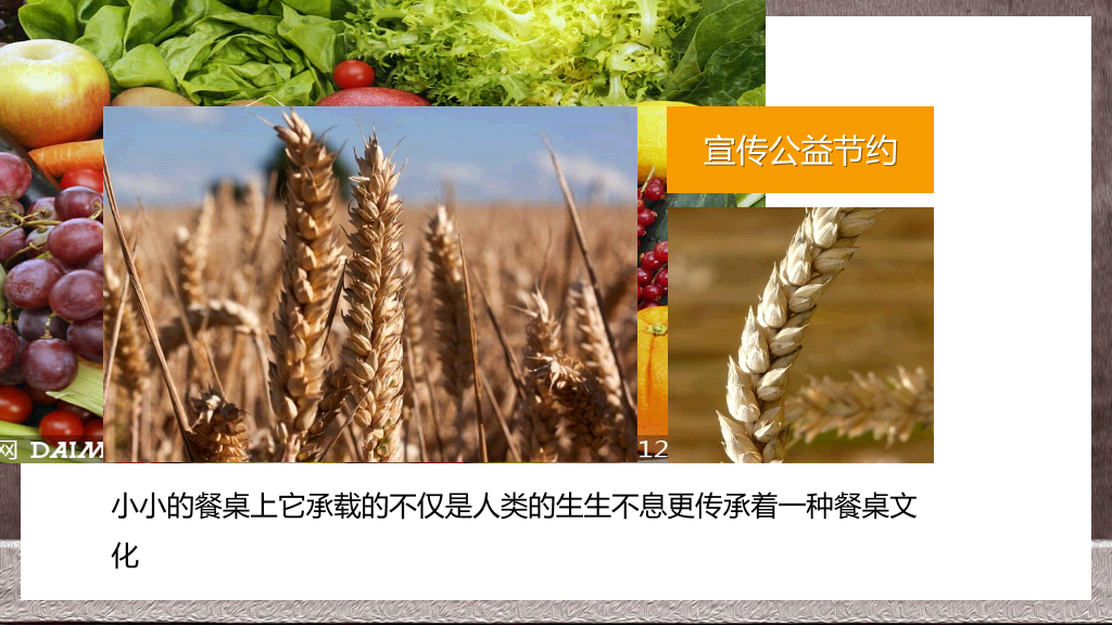 节约粮食光盘行动PPT模板