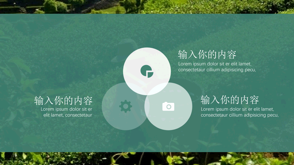 茶文化茶艺茶道PPT模板