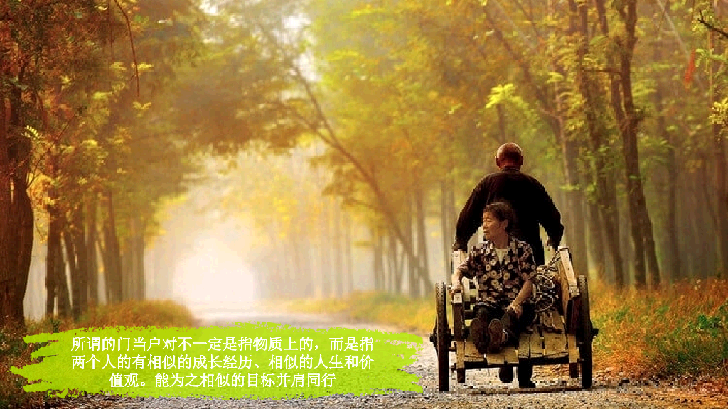 《愿有人陪你颠沛流离》读书笔记PPT
