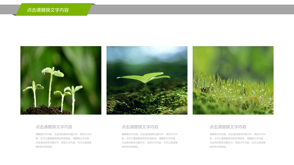 幼苗发芽绿色植物PPT模板