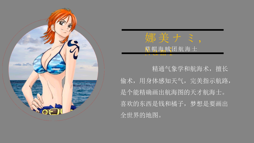 海贼王主要人物介绍PPT