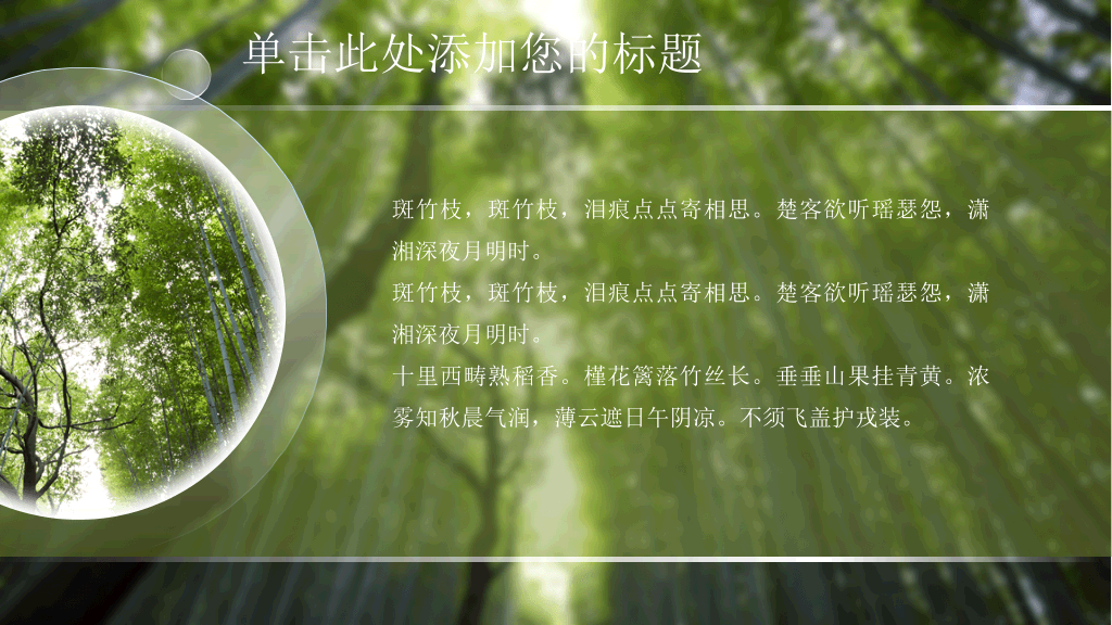 清凉夏日竹子竹林PPT模板
