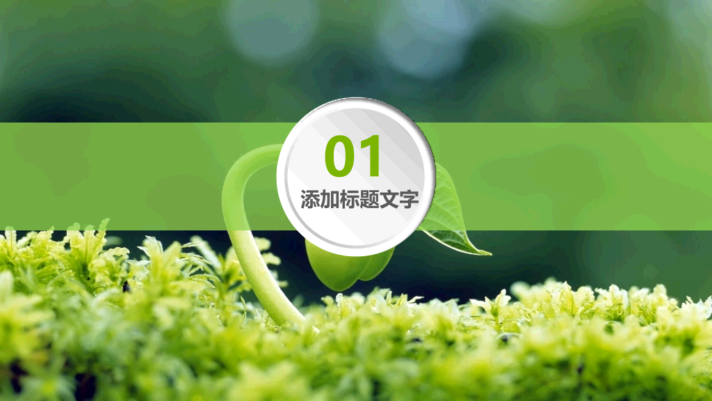 幼苗发芽绿色植物PPT模板