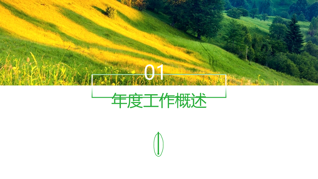 清爽绿色自然个人总结PPT模板
