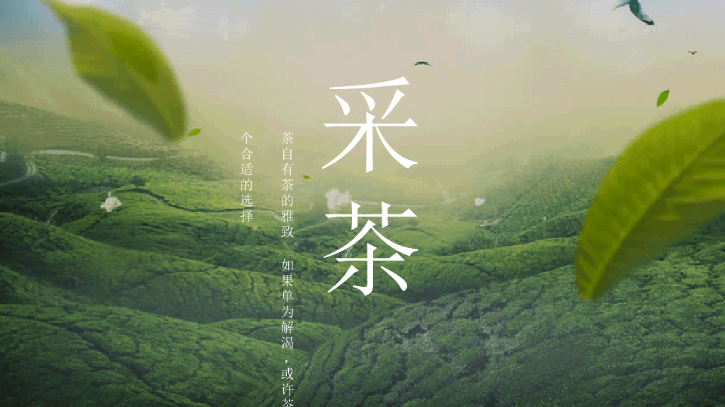 茶文化茶艺茶道PPT模板
