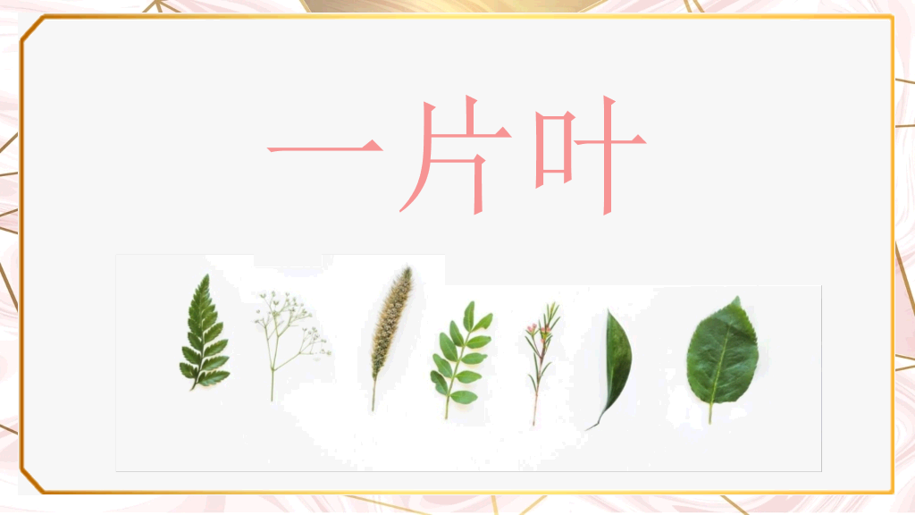 创意淡雅清新叶子PPT模板
