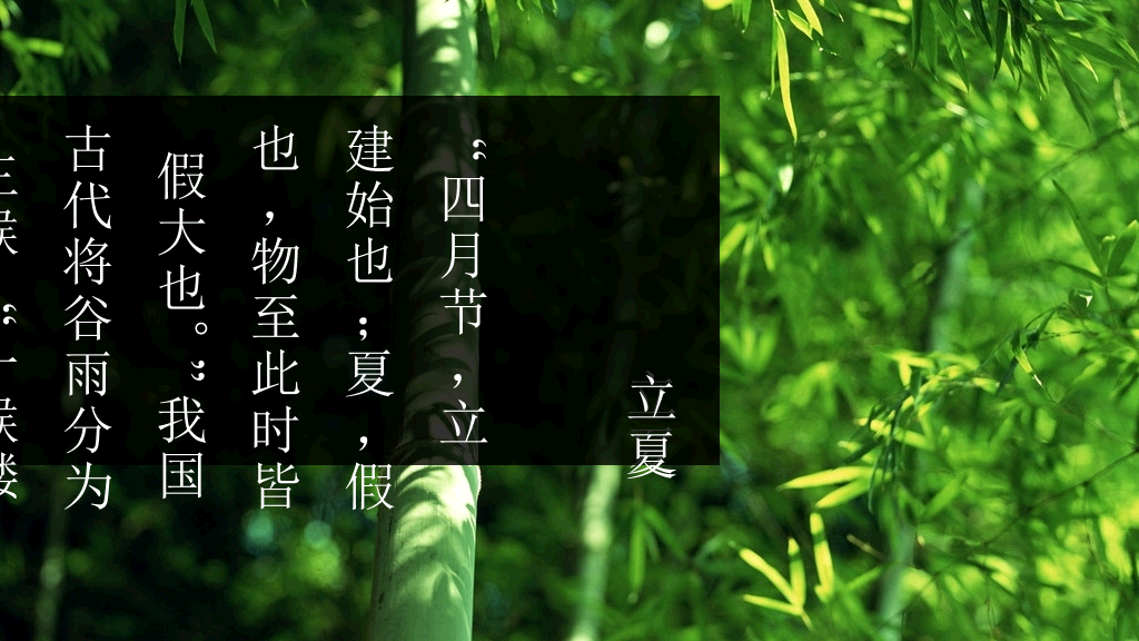 好看配图二十四节气PPT模板