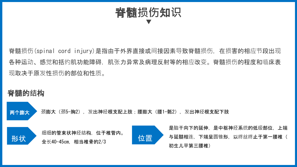骨髓损伤治疗护理查房PPT模板