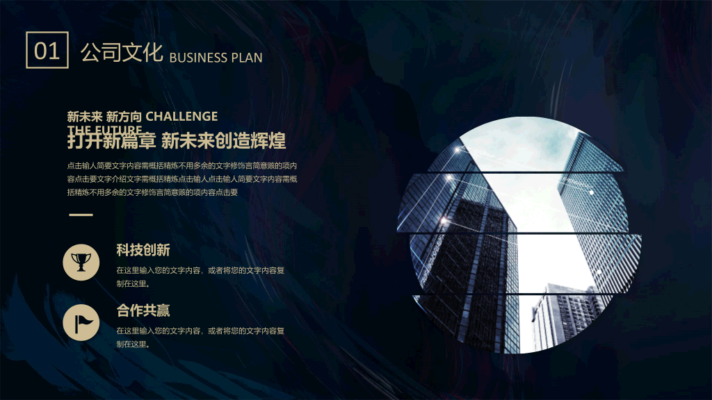 质感高端商业计划书PPT模板
