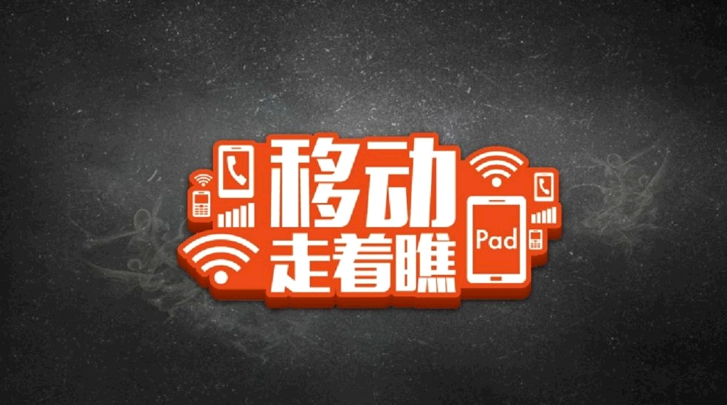 乐视网市场营销分析PPT