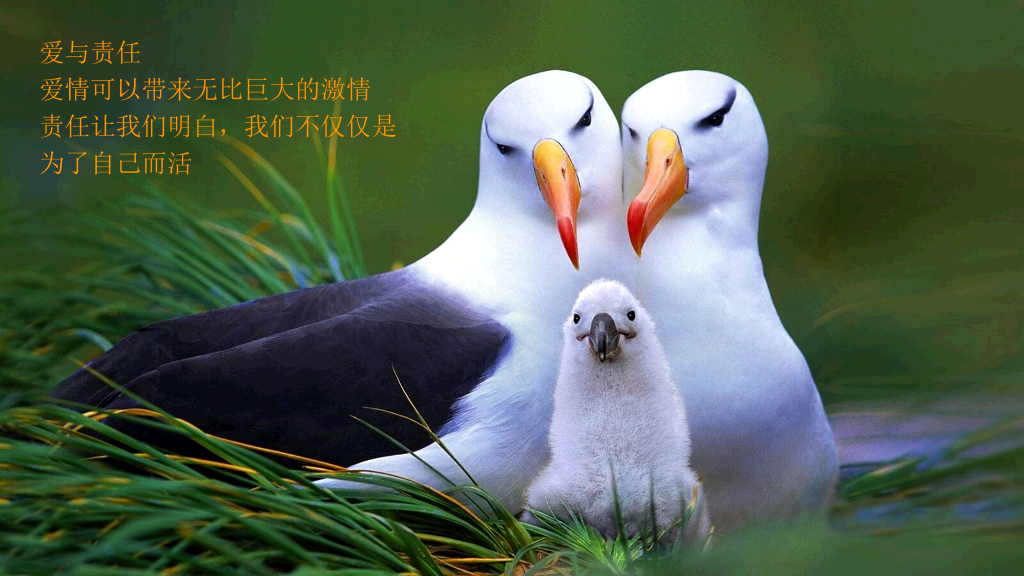 员工工作热情激励PPT课件