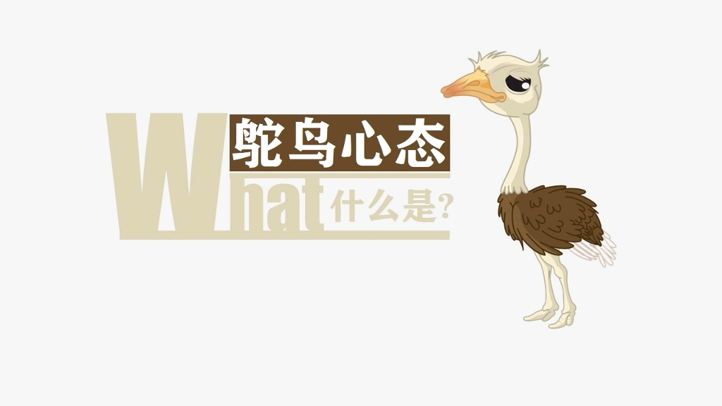 《鸵鸟心态》PPT作品欣赏