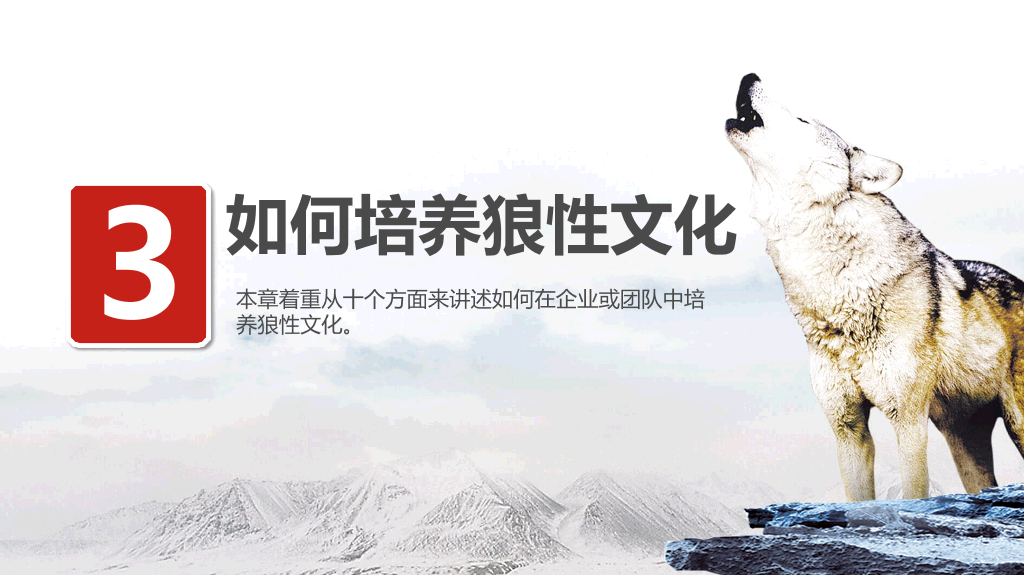 企业文化狼性精神培训PPT模板