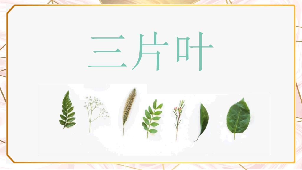 创意淡雅清新叶子PPT模板