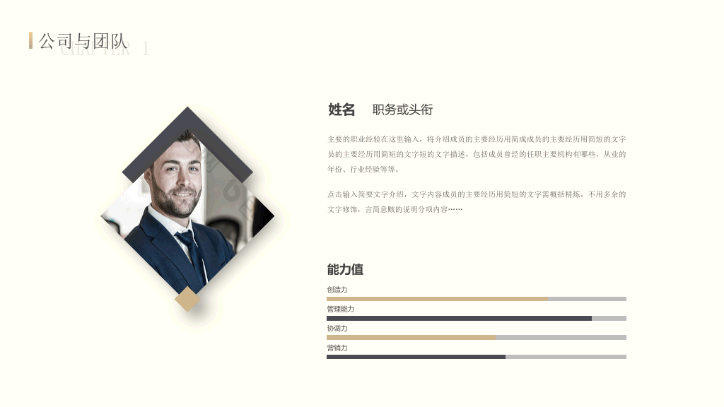 高端大气商业计划书PPT模板