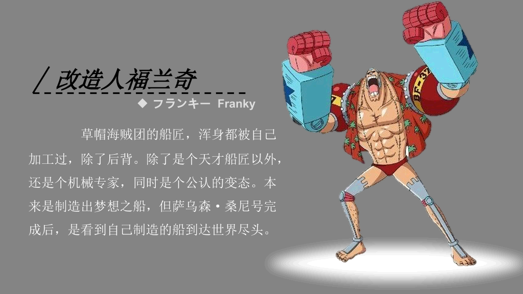 海贼王主要人物介绍PPT
