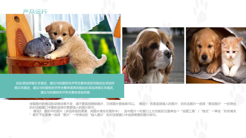 宠物狗狗可爱萌宠PPT模板