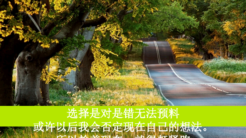 《愿有人陪你颠沛流离》读书笔记PPT