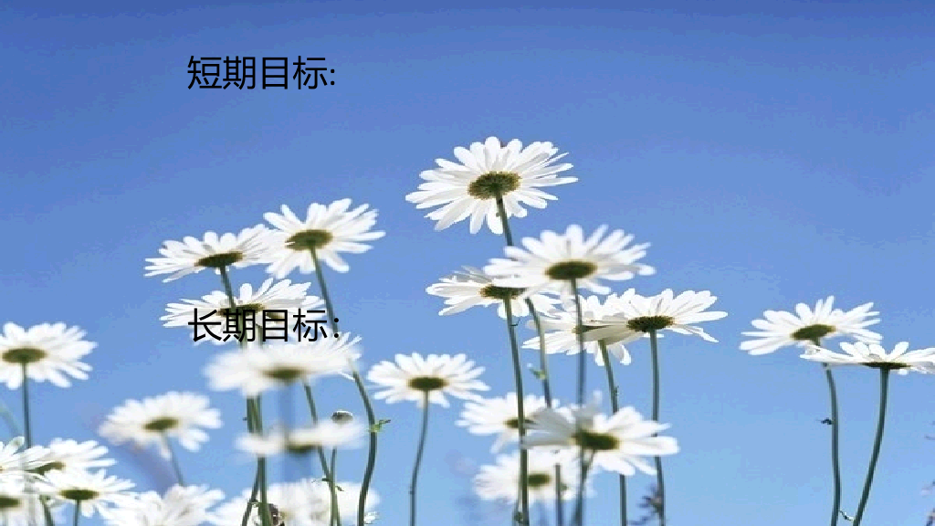 大学生职业规划幻灯片模板