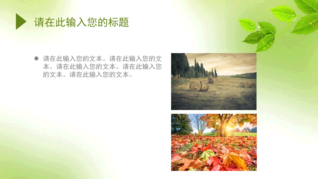 简约清新淡雅绿叶PPT模板
