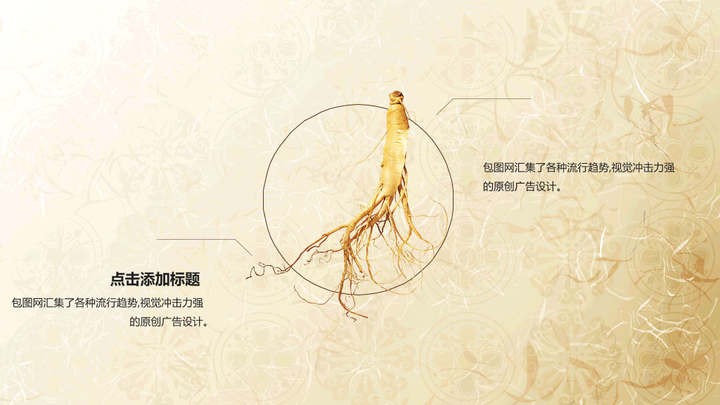 传统中药中医文化PPT模板