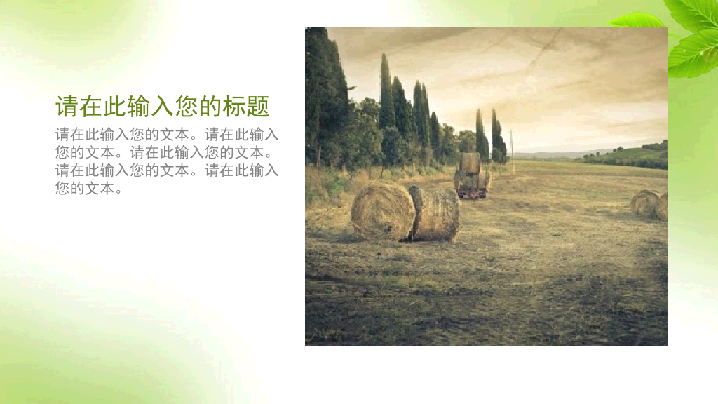 简约清新淡雅绿叶PPT模板