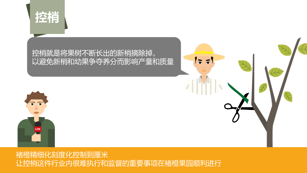 《褚橙你也学不会》PPT读书笔记