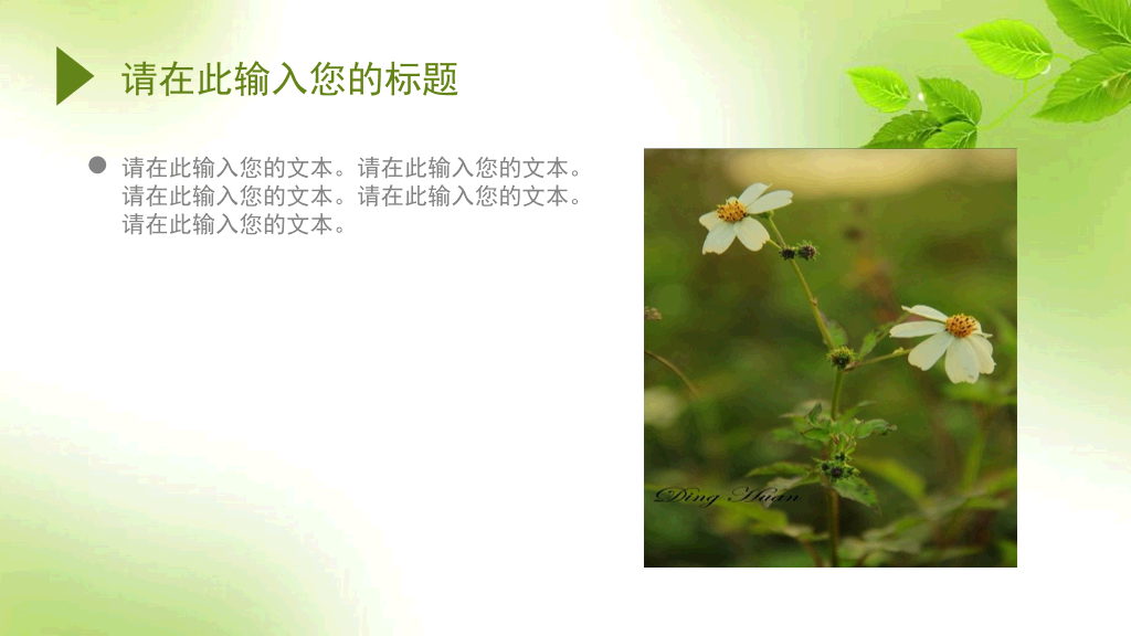 简约清新淡雅绿叶PPT模板