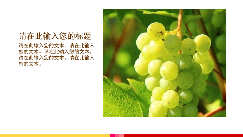 新鲜美味的水果幻灯片模板