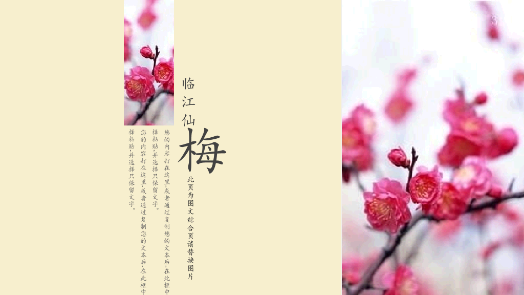 古韵梅花PowerPoint模板
