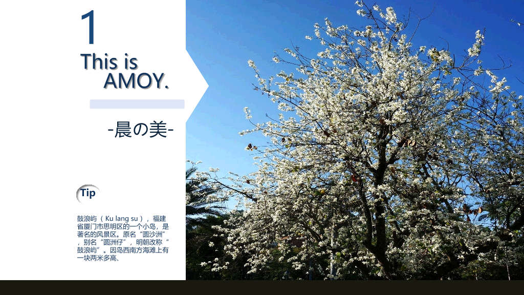 厦门鼓浪屿旅游攻略PPT模板