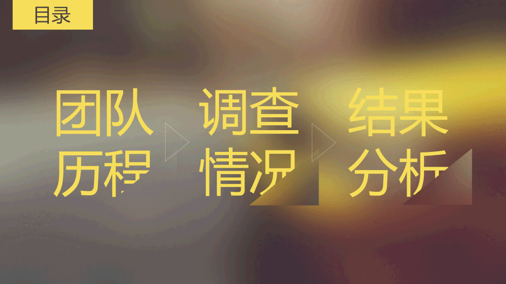 好看的调研报告PPT模板