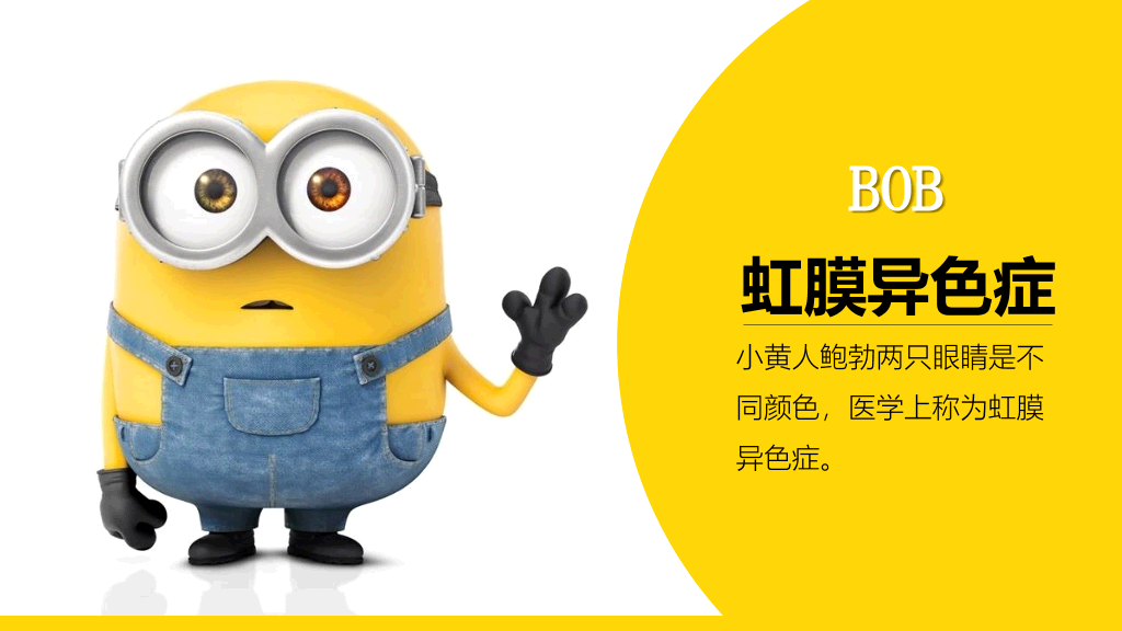 你不知道的《小黄人》PPT作品