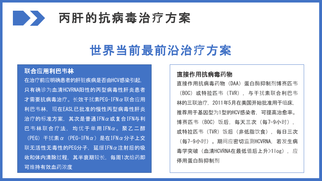 病毒性肝炎预防和治疗PPT模板