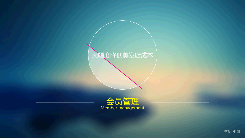 美发行业信息平台推广PPT