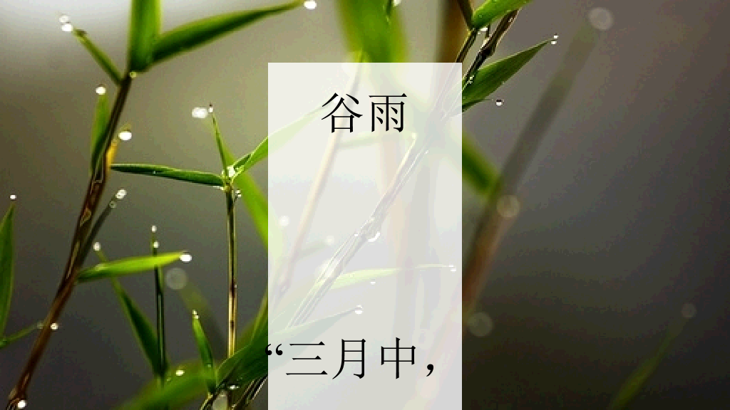 好看配图二十四节气PPT模板