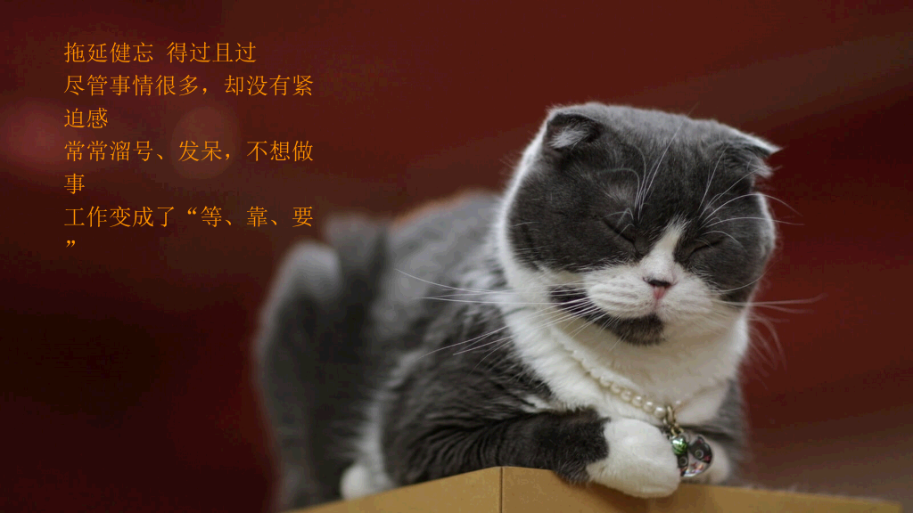 员工工作热情激励PPT课件