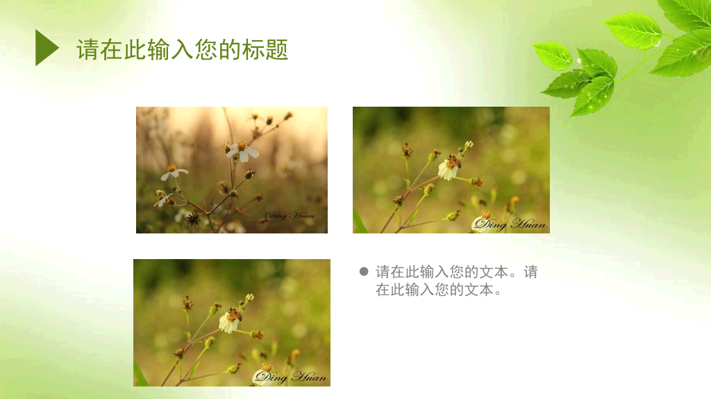 简约清新淡雅绿叶PPT模板