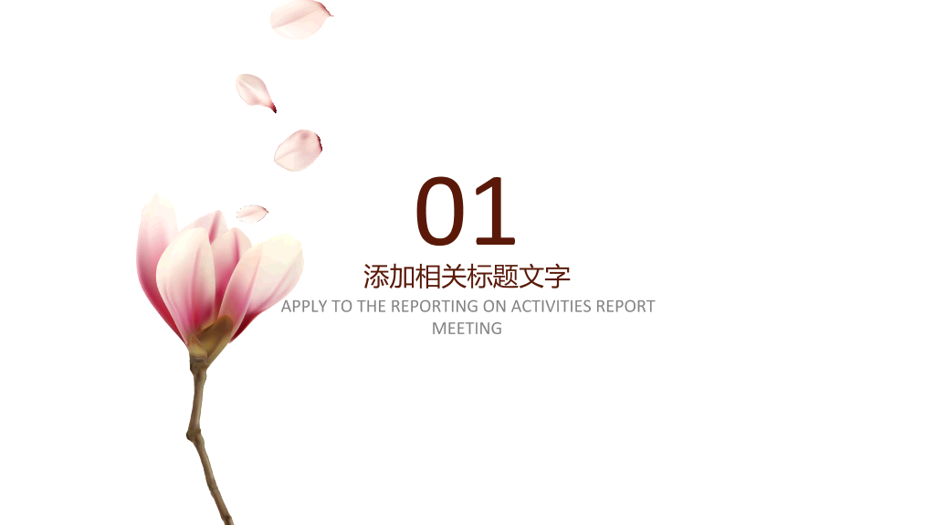 淡雅唯美花卉通用PPT模板