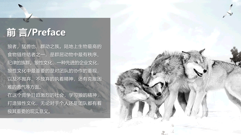 企业文化狼性精神培训PPT模板