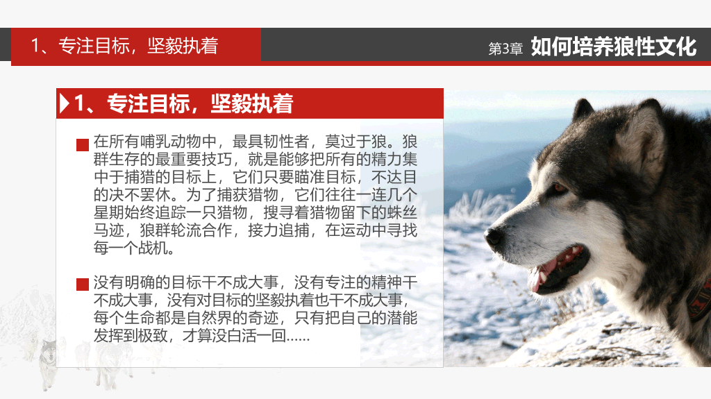 企业文化狼性精神培训PPT模板