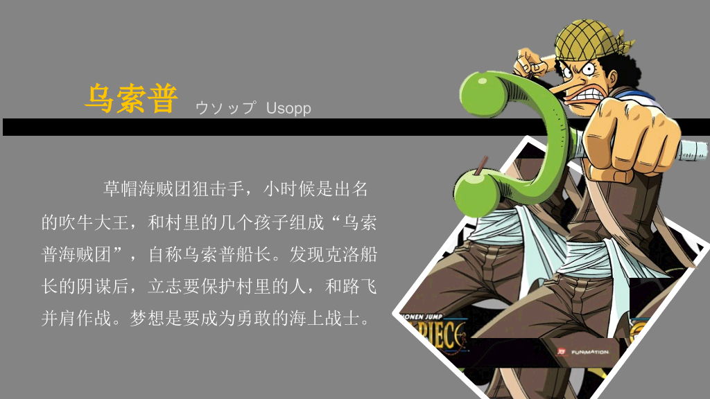海贼王主要人物介绍PPT
