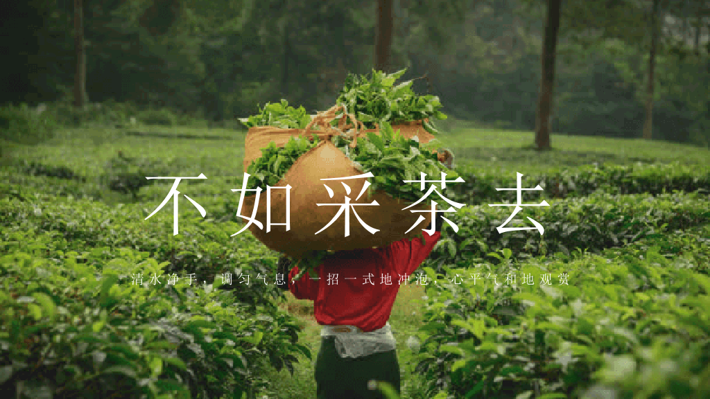 茶文化茶艺茶道PPT模板