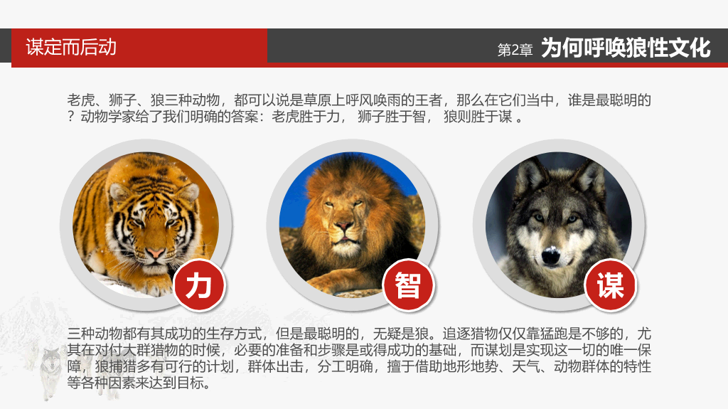 企业文化狼性精神培训PPT模板