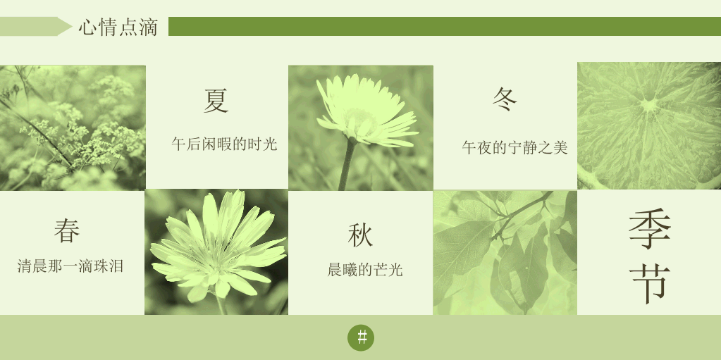 绿色小清新淡雅PPT模板